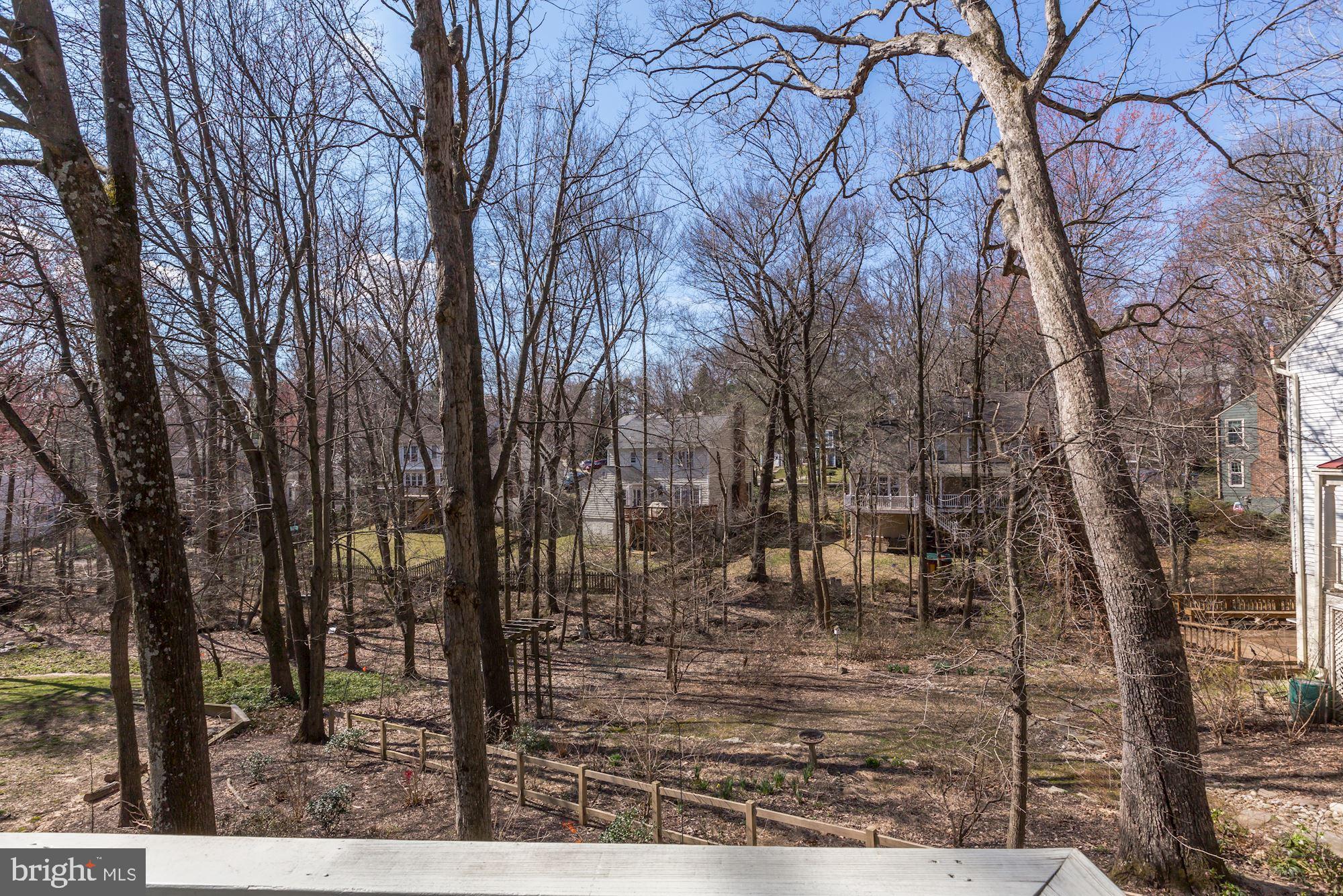 11677 Bennington Woods Road Reston, VA 20194 - Photo 45 of 51 Trees surround the yard and provide privacy