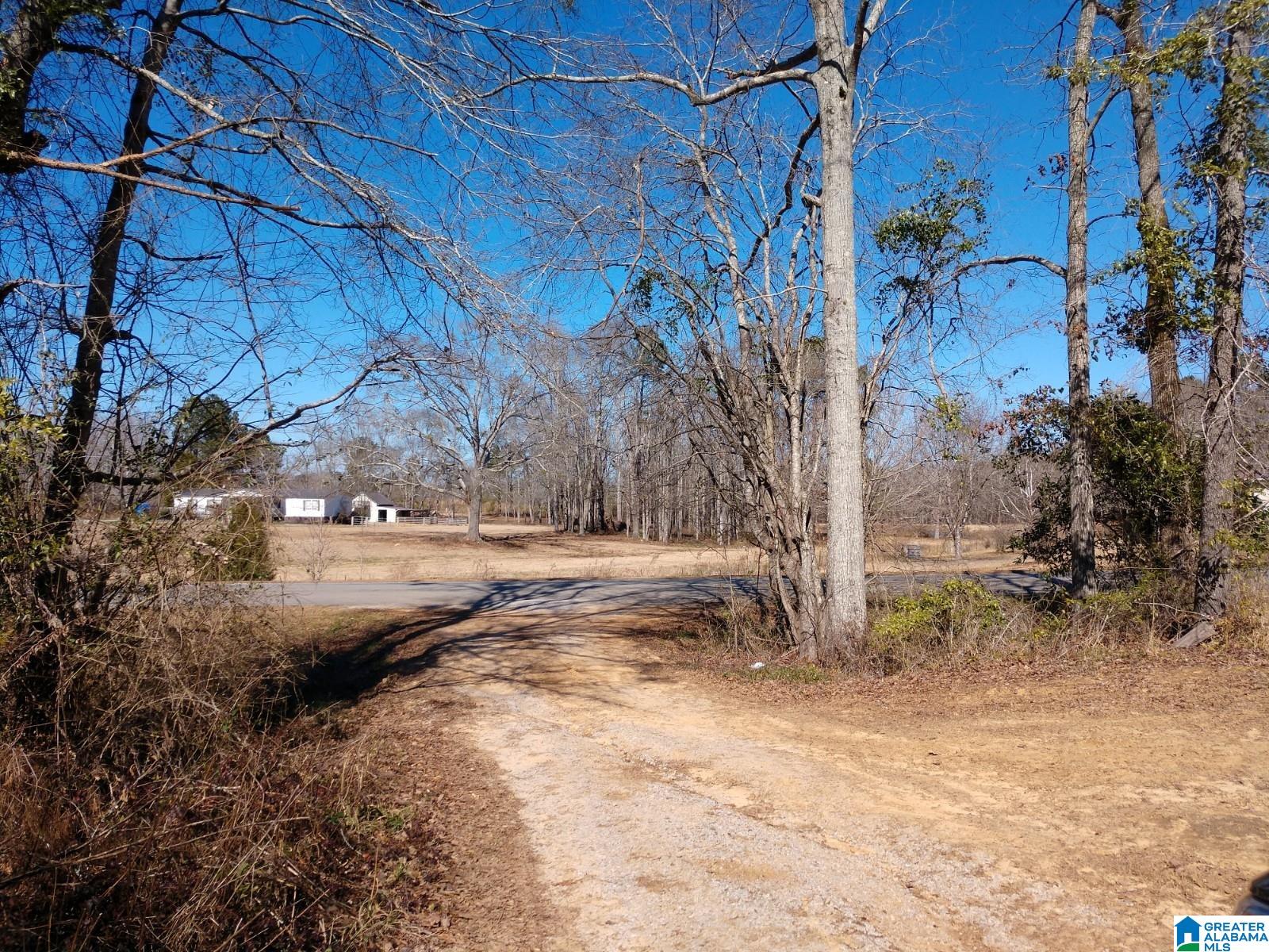 4900 County Road 232, Unit 1 Clanton, AL 35045 - Photo 4 of 4