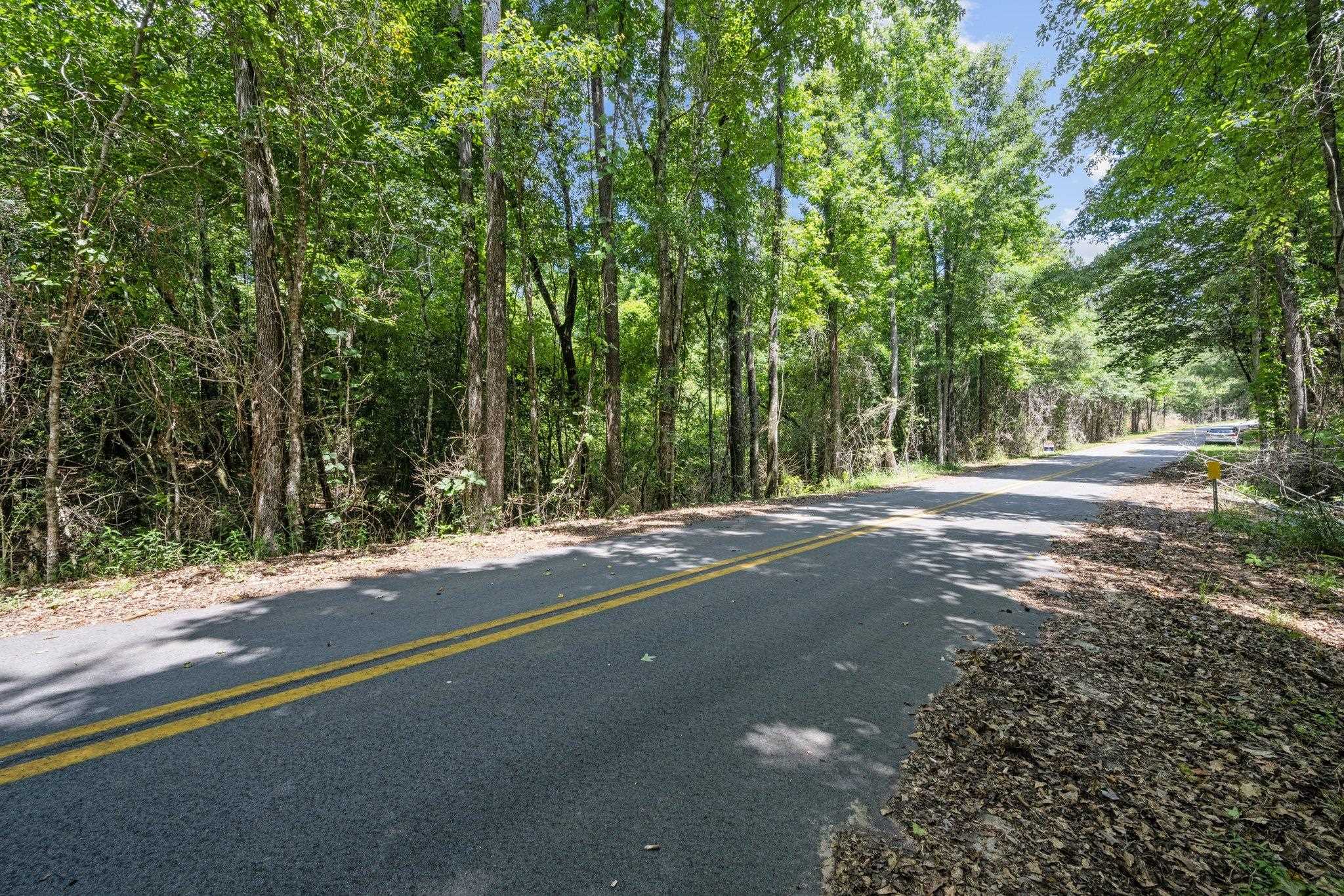 50375 Old Jack Springs Road Bay Minette, AL 36507 - Photo 3 of 15