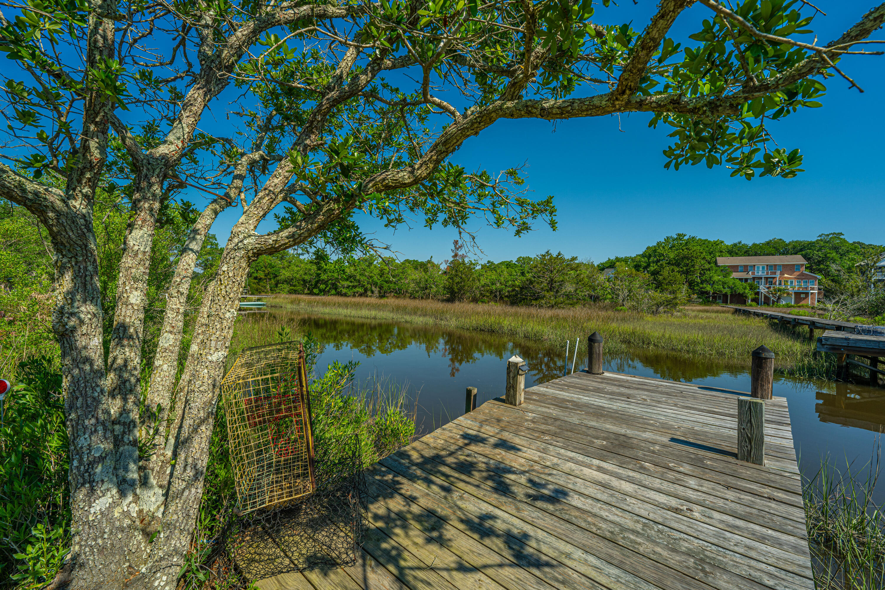 1890 Capri Drive Charleston, SC 29407 - Photo 27 of 47 Private Dock