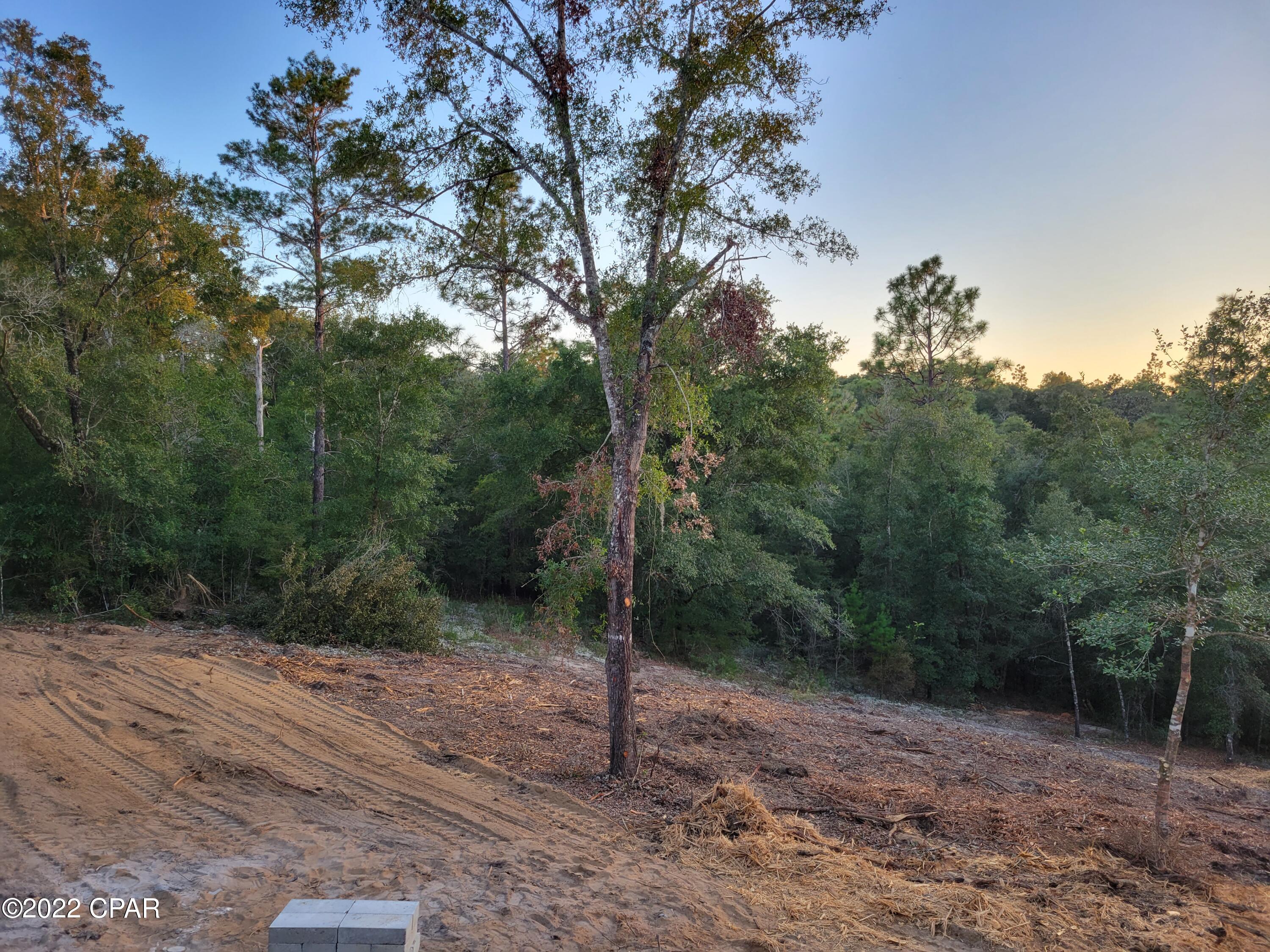 3494 Quail Ridge Drive Chipley, FL 32428 - Photo 9 of 30