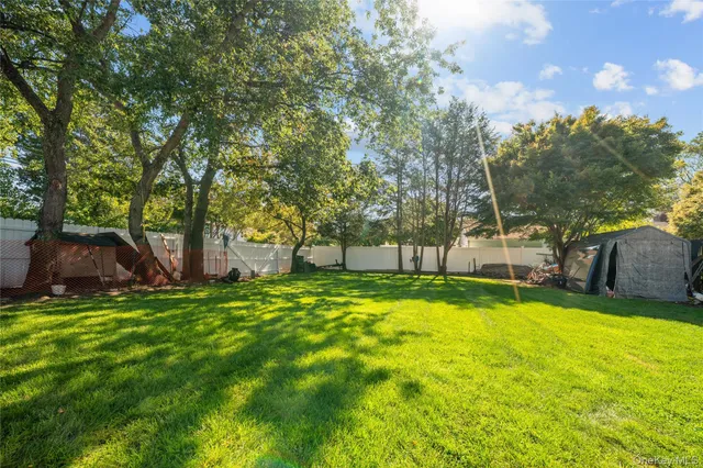 a view of a trees with a yard