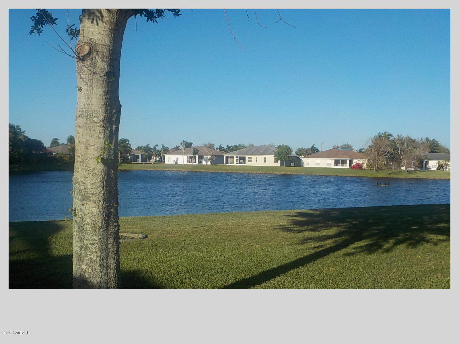 1505 Knoll Ridge Drive Melbourne, FL 32940 - Photo 4 of 27 view from backyard