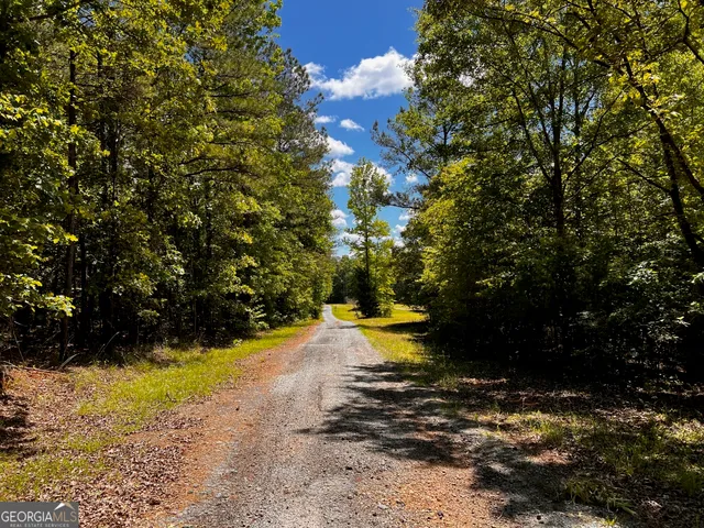 $950,000 | 164 New Harmony Church Road, Thomaston, GA 30286