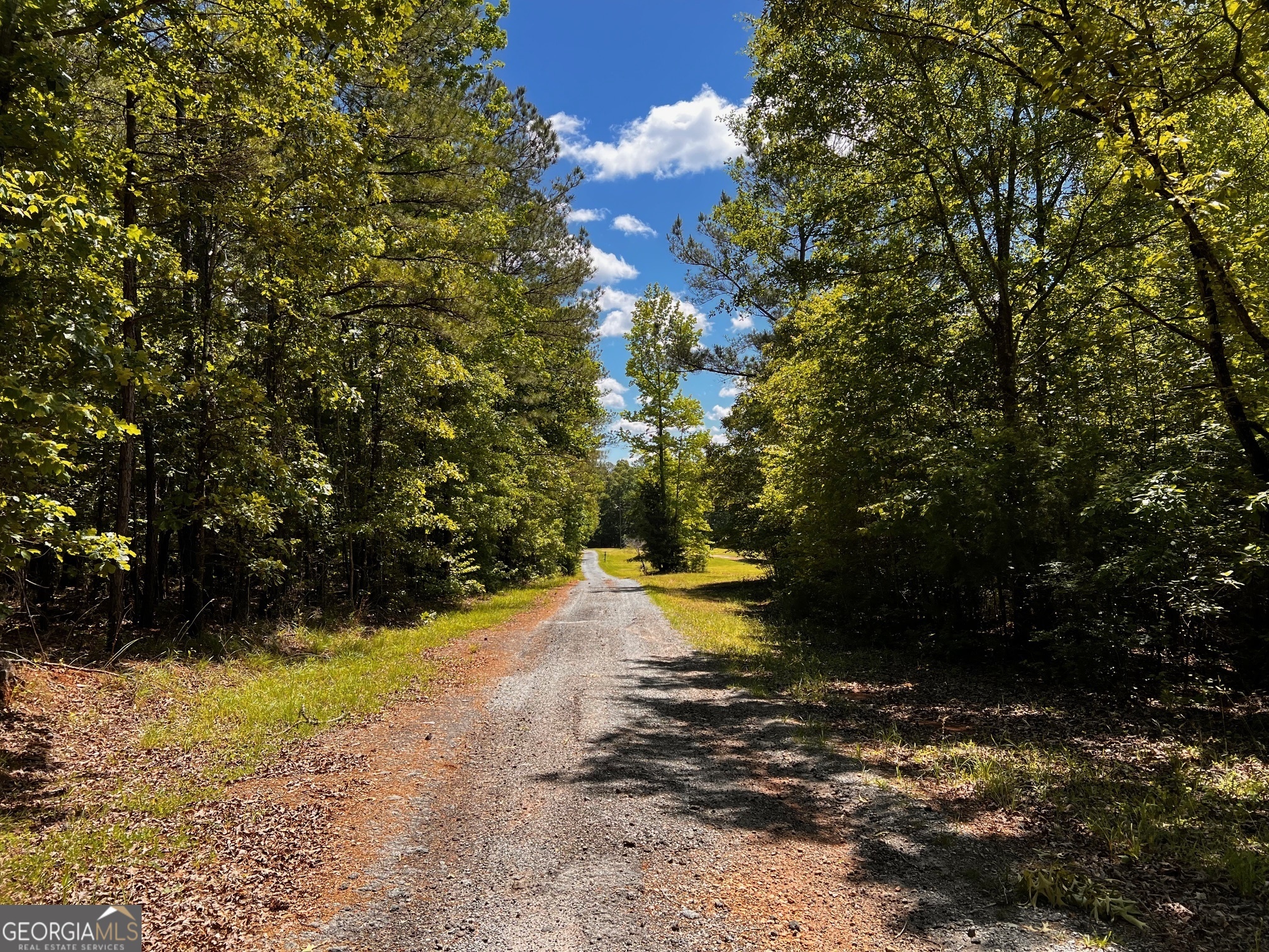 164 New Harmony Church Road Thomaston, GA 30286 - Photo 31 of 46