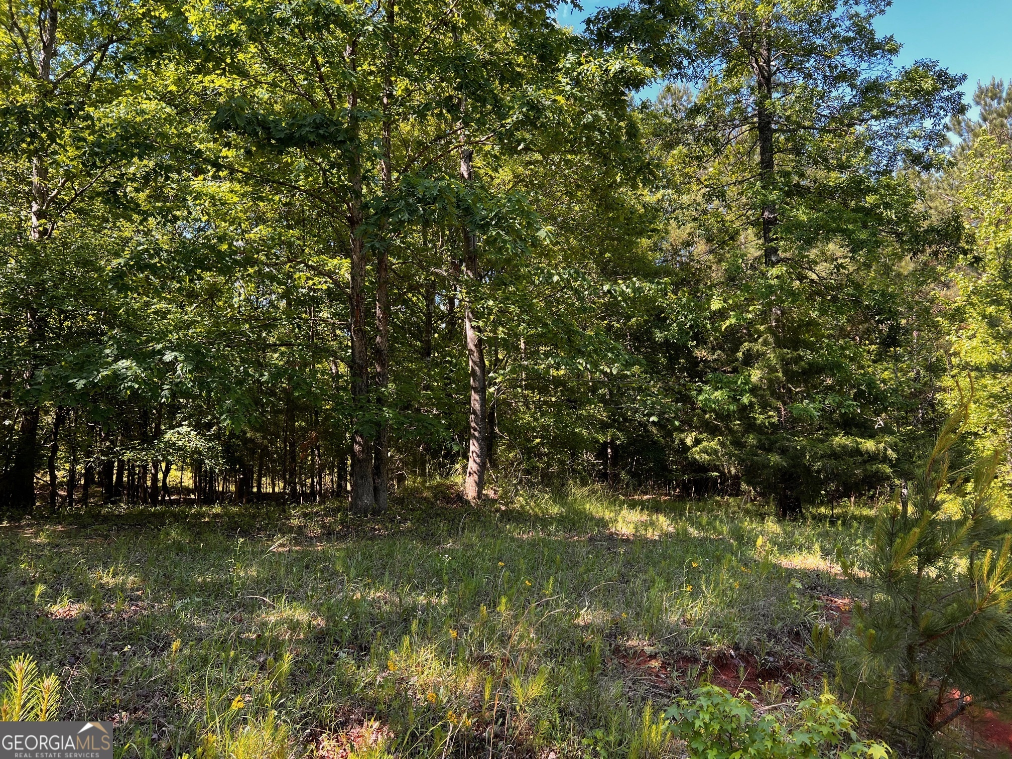 164 New Harmony Church Road Thomaston, GA 30286 - Photo 34 of 46