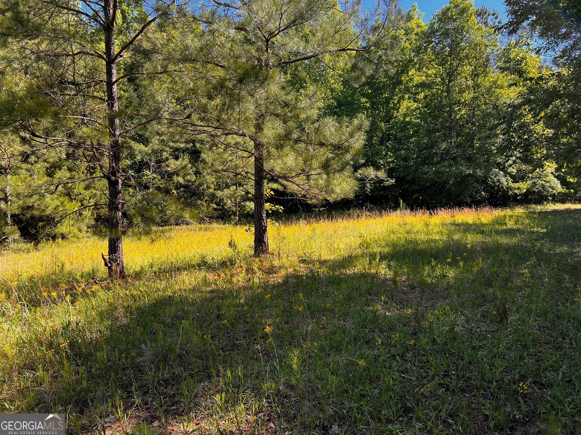 164 New Harmony Church Road Thomaston, GA 30286 - Photo 35 of 46