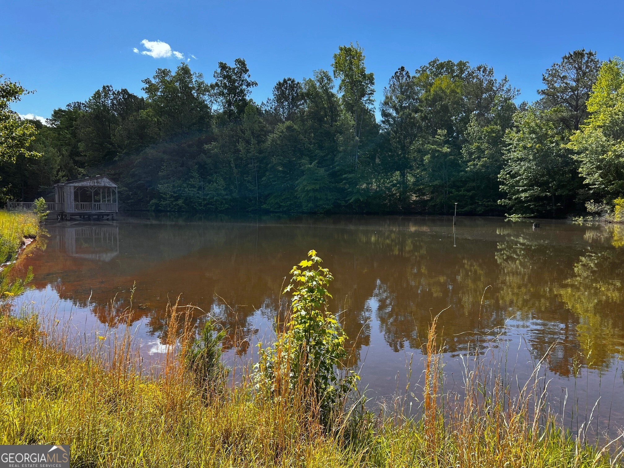 164 New Harmony Church Road Thomaston, GA 30286 - Photo 37 of 46