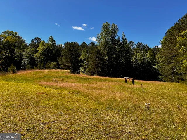 $950,000 | 164 New Harmony Church Road, Thomaston, GA 30286