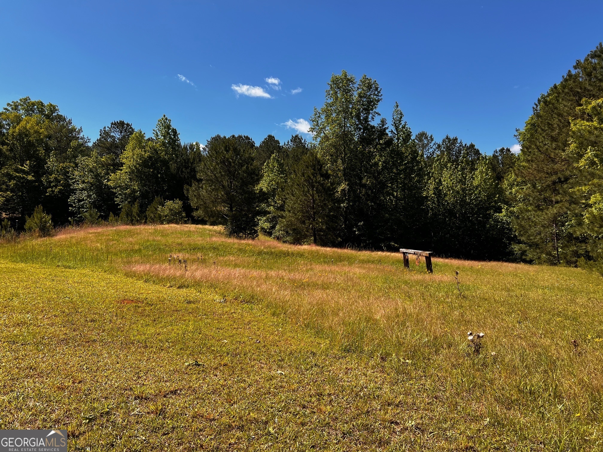 164 New Harmony Church Road Thomaston, GA 30286 - Photo 41 of 46