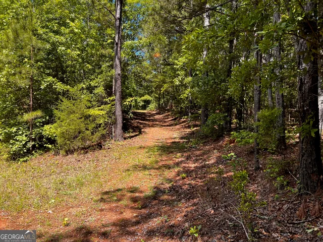 $950,000 | 164 New Harmony Church Road, Thomaston, GA 30286