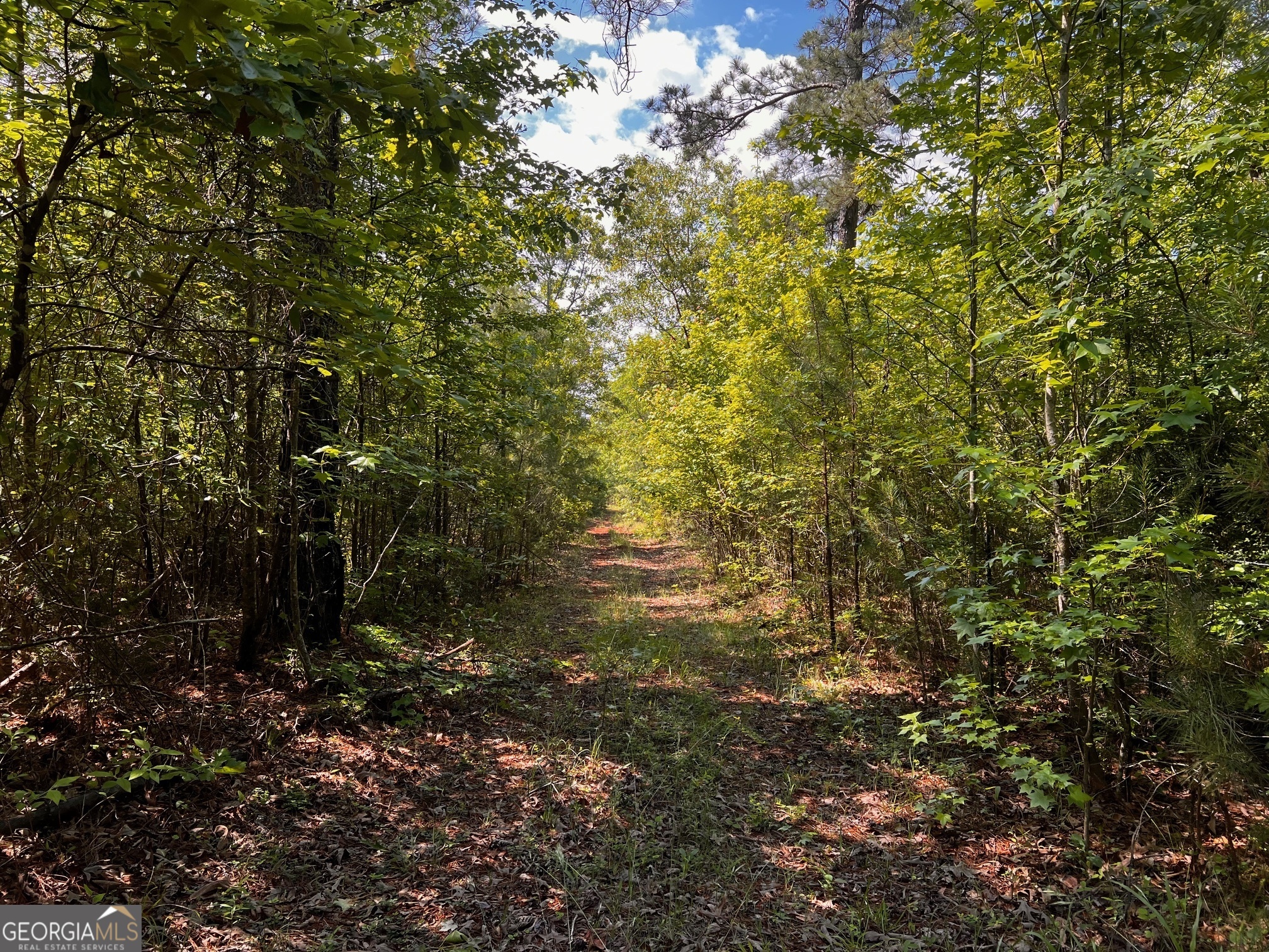 164 New Harmony Church Road Thomaston, GA 30286 - Photo 43 of 46