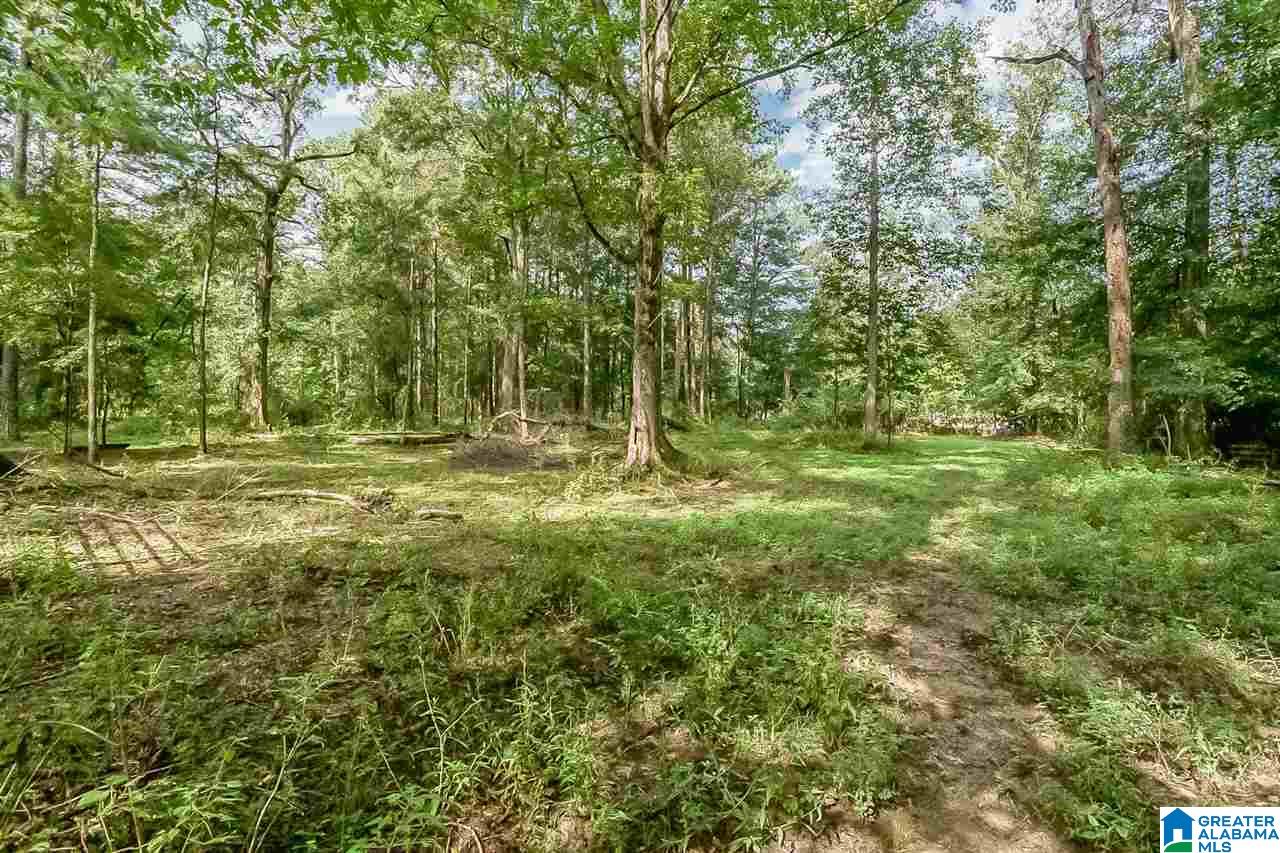 52 Hodgens Road Chelsea, AL 35043 - Photo 32 of 33