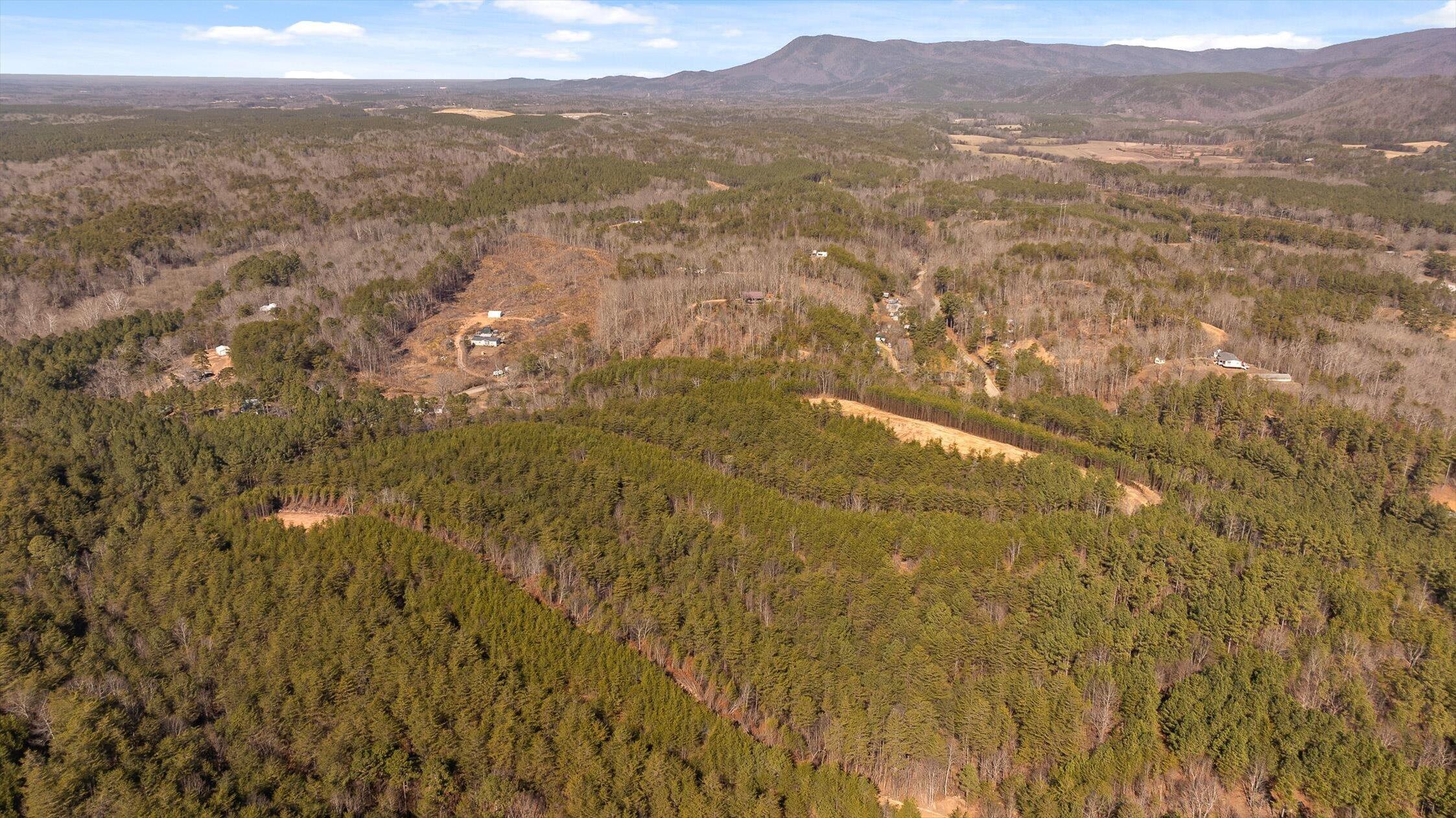 4 Conniston Road Chatsworth, GA 30705 - Photo 19 of 28 19-Tract 4-13