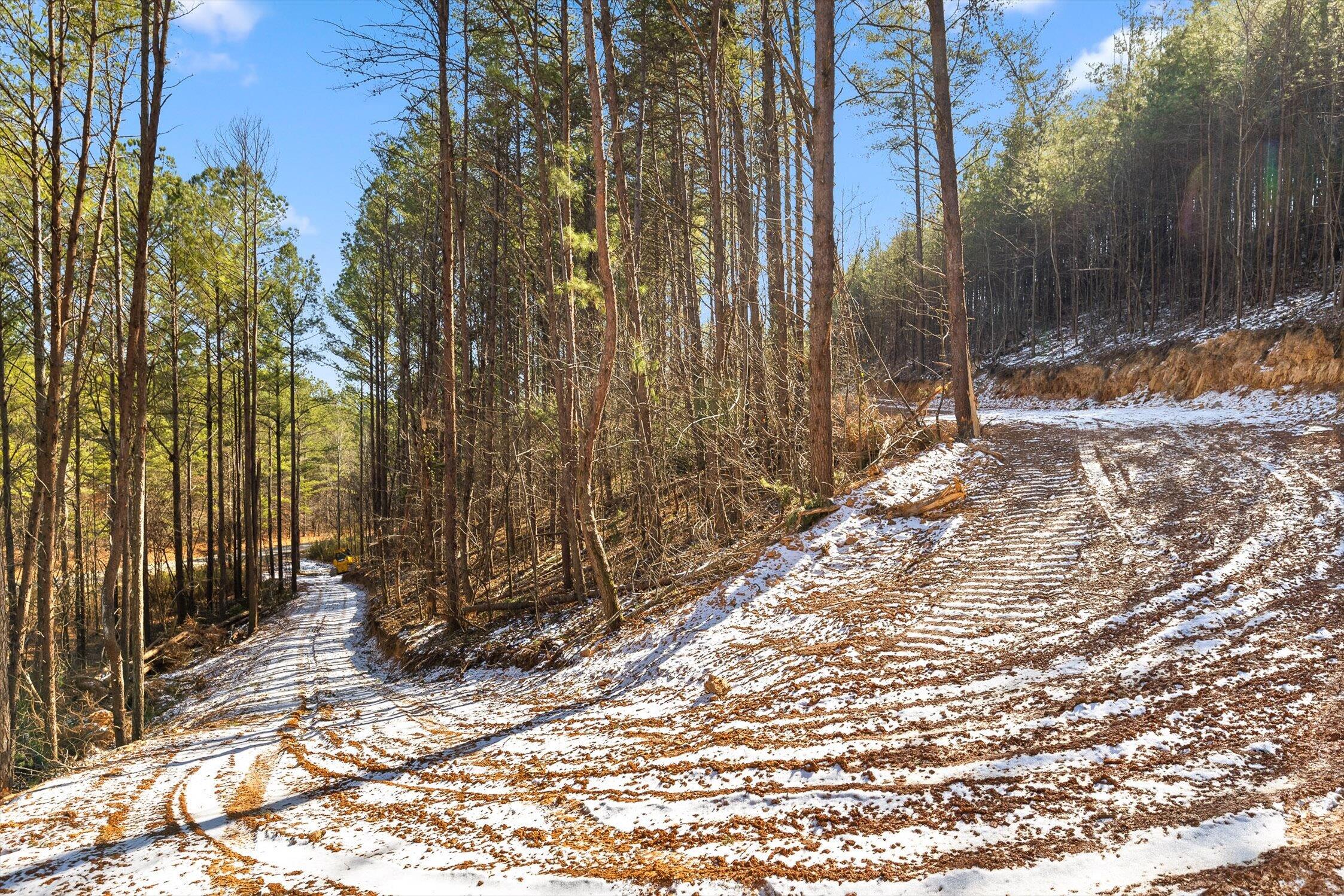 4 Conniston Road Chatsworth, GA 30705 - Photo 7 of 28 10-Tract 4-4