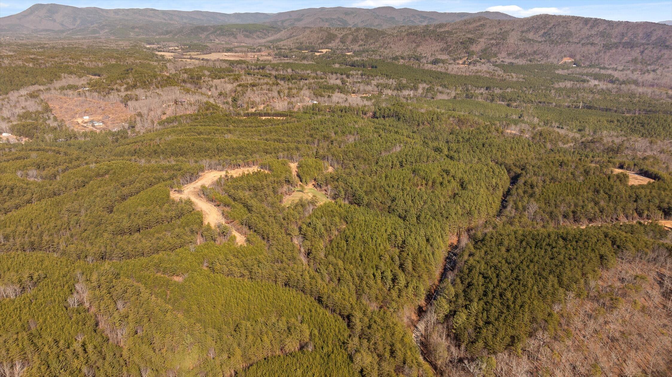 4 Conniston Road Chatsworth, GA 30705 - Photo 8 of 28 04-Tract 2-1