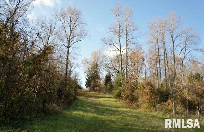 0 Westview Road Belknap, IL 62908 - Photo 11 of 34