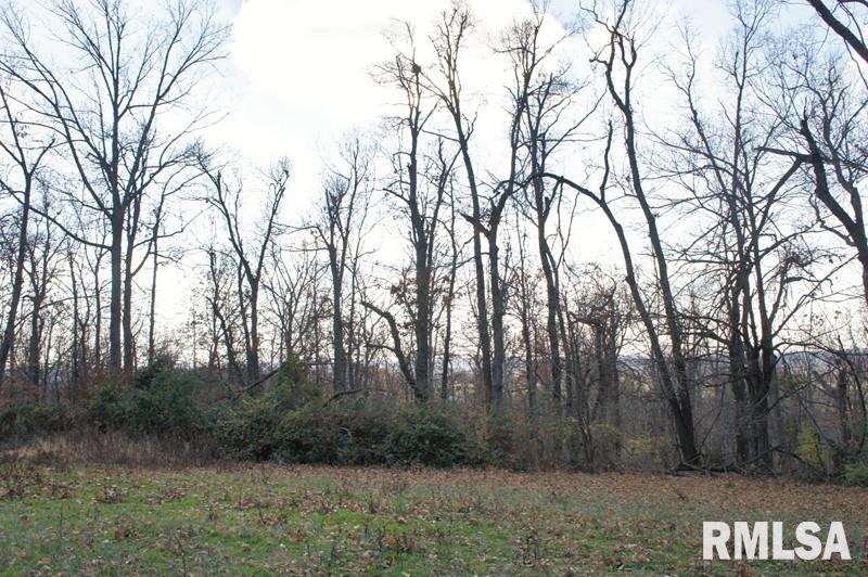 0 Westview Road Belknap, IL 62908 - Photo 12 of 34