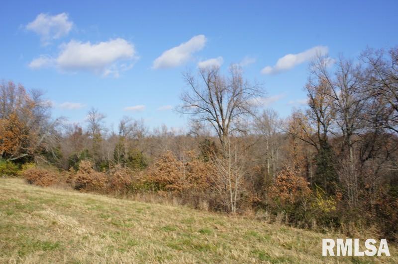 0 Westview Road Belknap, IL 62908 - Photo 15 of 34