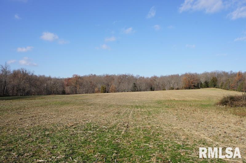 0 Westview Road Belknap, IL 62908 - Photo 17 of 34