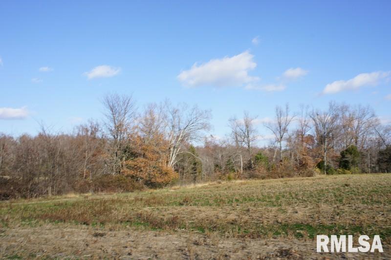 0 Westview Road Belknap, IL 62908 - Photo 18 of 34