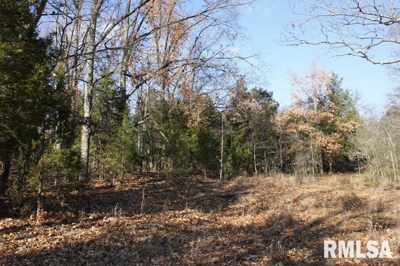 0 Westview Road Belknap, IL 62908 - Photo 19 of 34