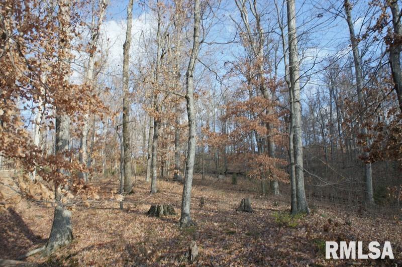 0 Westview Road Belknap, IL 62908 - Photo 3 of 34