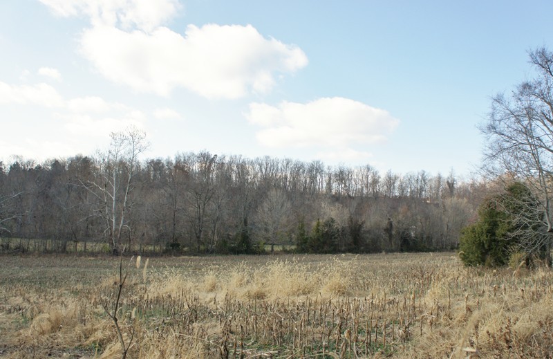0 Westview Road Belknap, IL 62908 - Photo 6 of 34