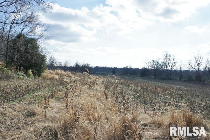 0 Westview Road Belknap, IL 62908 - Photo 8 of 34