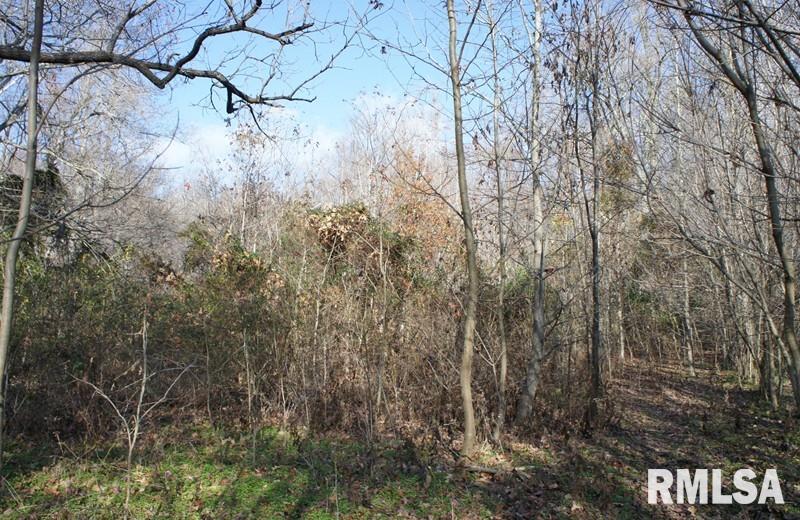 0 Westview Road Belknap, IL 62908 - Photo 10 of 34