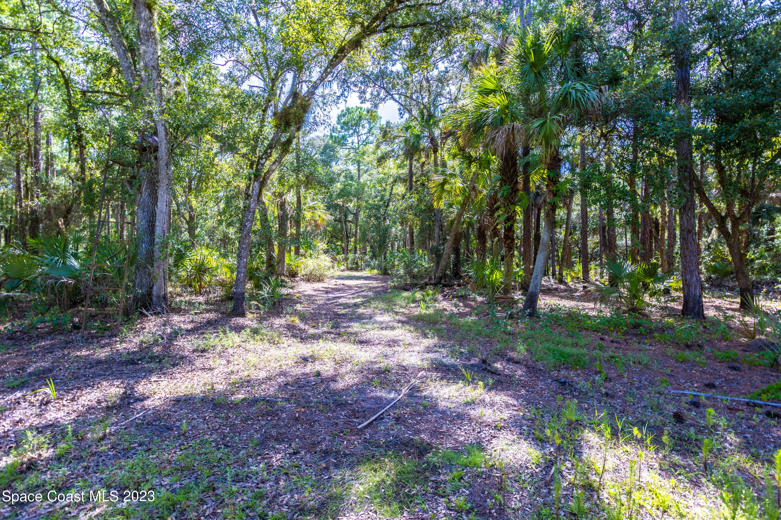 5305 Paces Landing Road Mims, FL 32754 - Photo 27 of 28 pl28