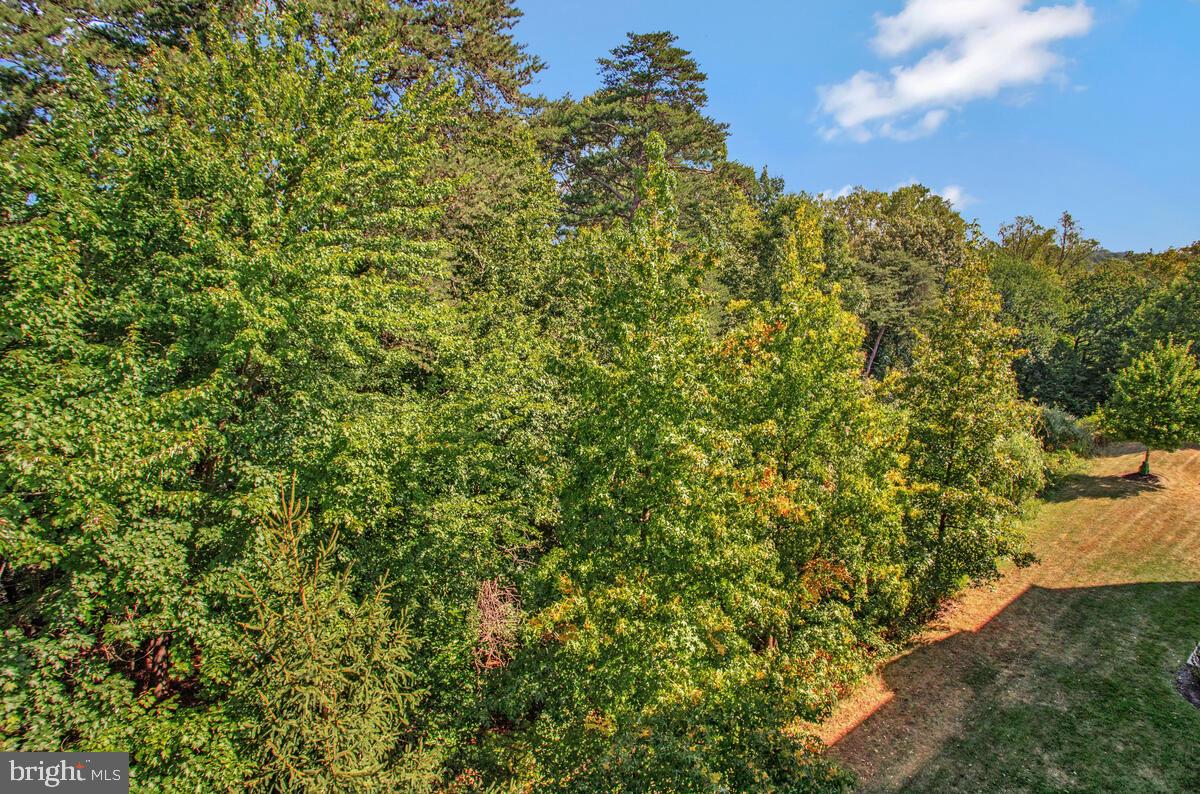 7315 Maplecrest Road, Unit 405 Elkridge, MD 21075 - Photo 20 of 76 a view of a large yard with lots of bushes