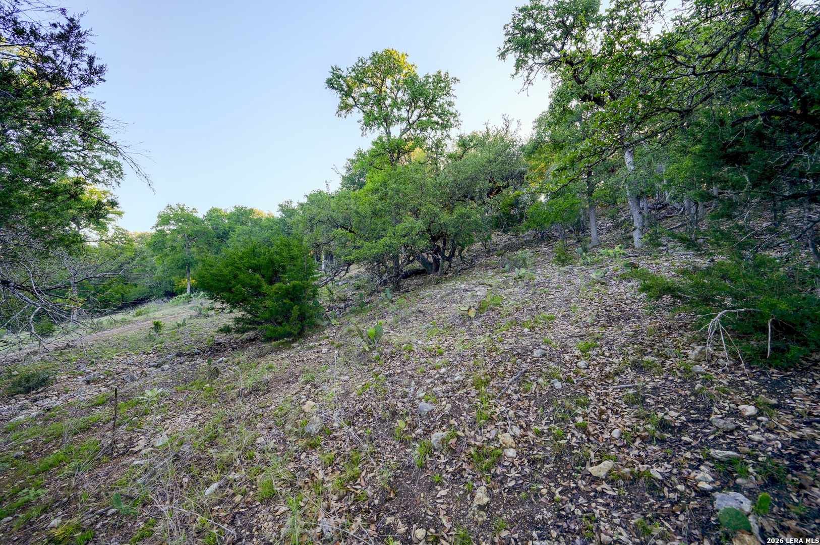 315 Rittimann Road Spring Branch, TX 78070 - Photo 30 of 51