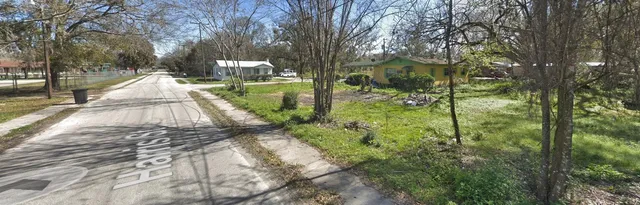 a view of yard with green space