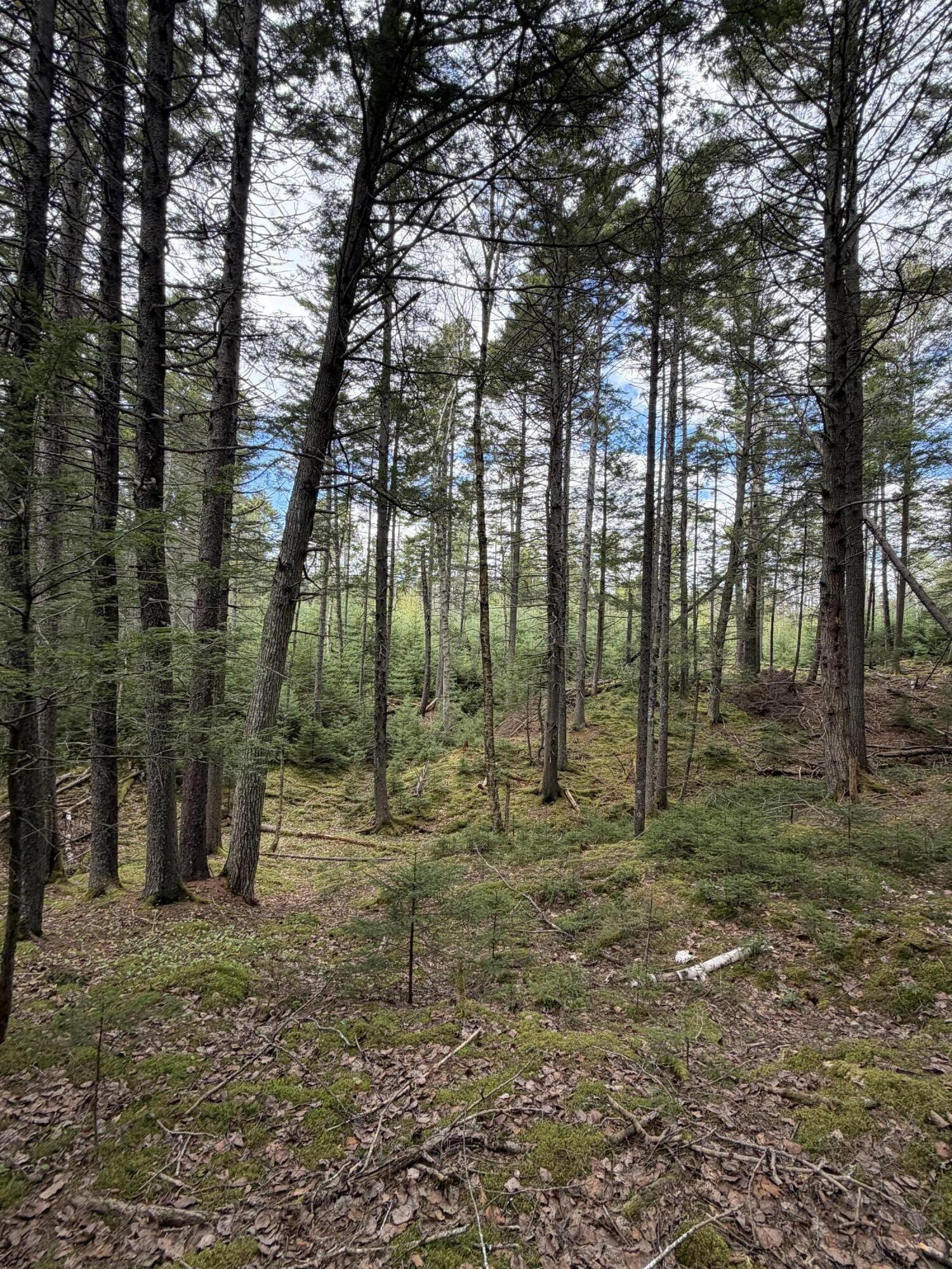 108 B Flying Point Road Freeport, ME 04032 - Photo 16 of 31 IMG_8699
