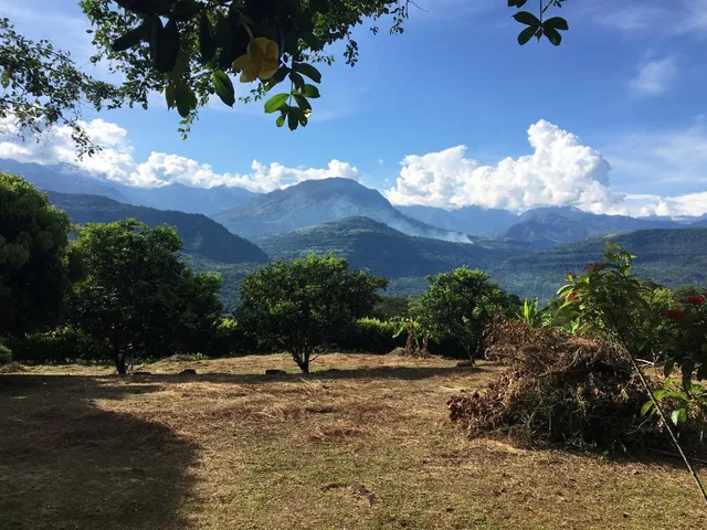 a view of a street with a yard