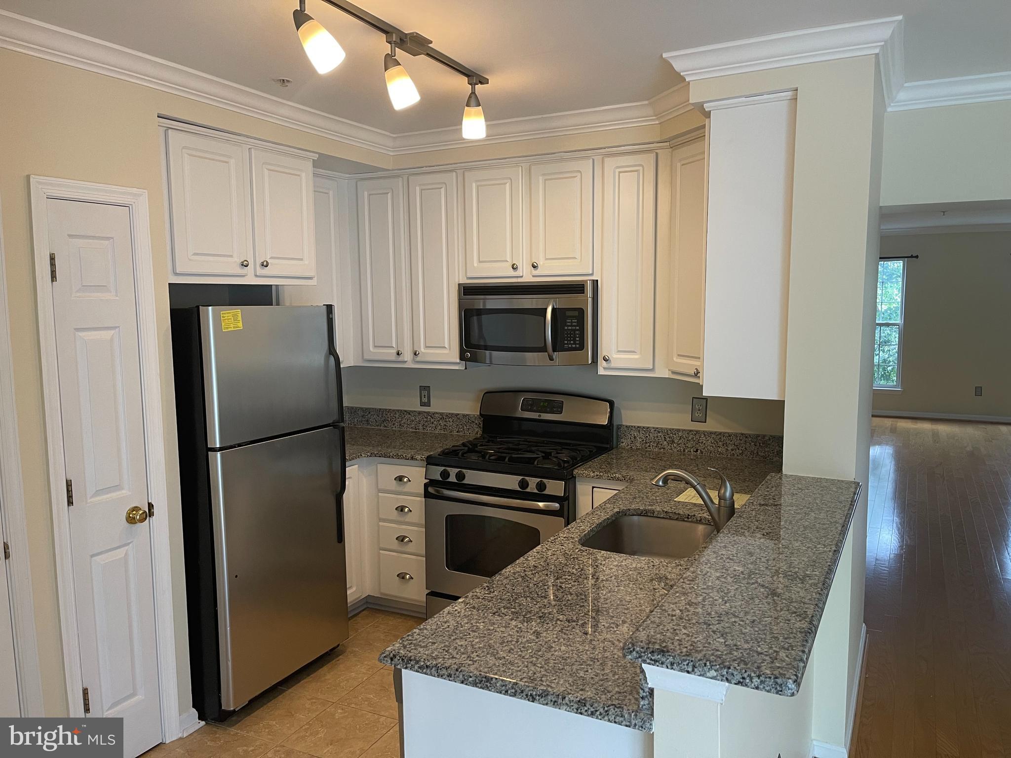 1510 Northern Neck Drive, Unit 201 Vienna, VA 22182 - Photo 7 of 16 Updated kitchen