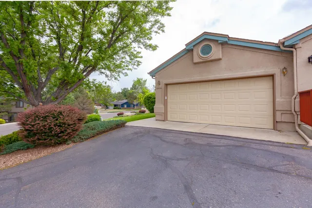 a view of a house with a big yard and a large tree