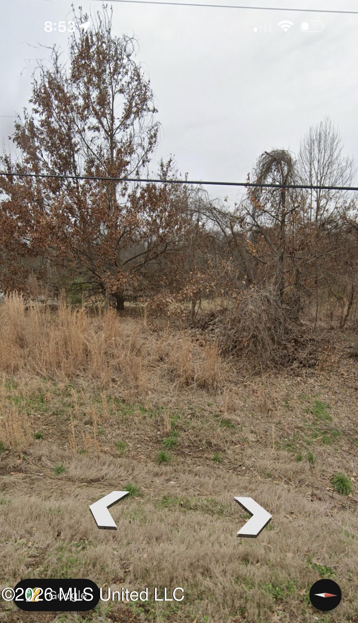 3197 Fogg Road North Lake Cormorant, MS 38641 - Photo 6 of 12 IMG_0848