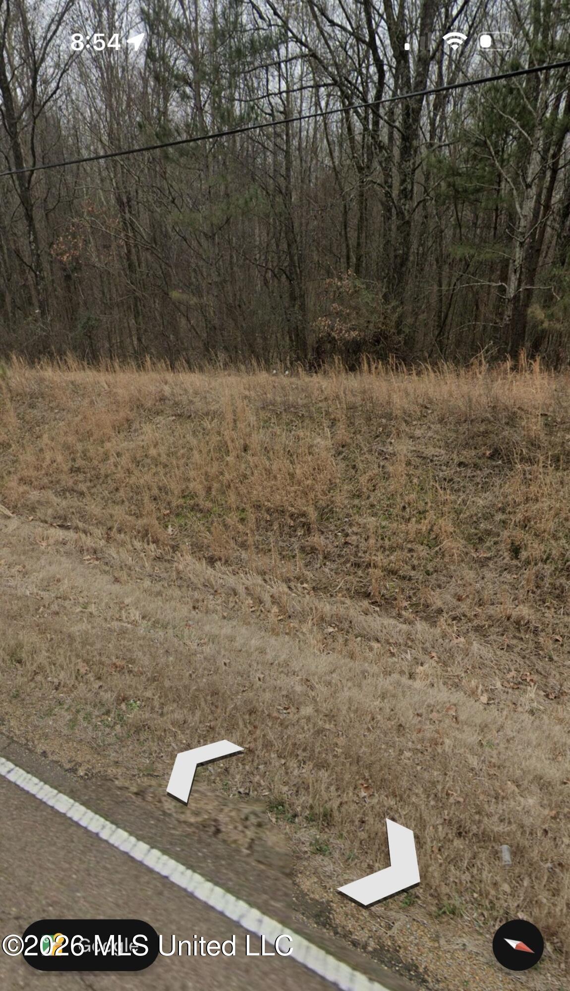 3197 Fogg Road North Lake Cormorant, MS 38641 - Photo 8 of 12 IMG_0850