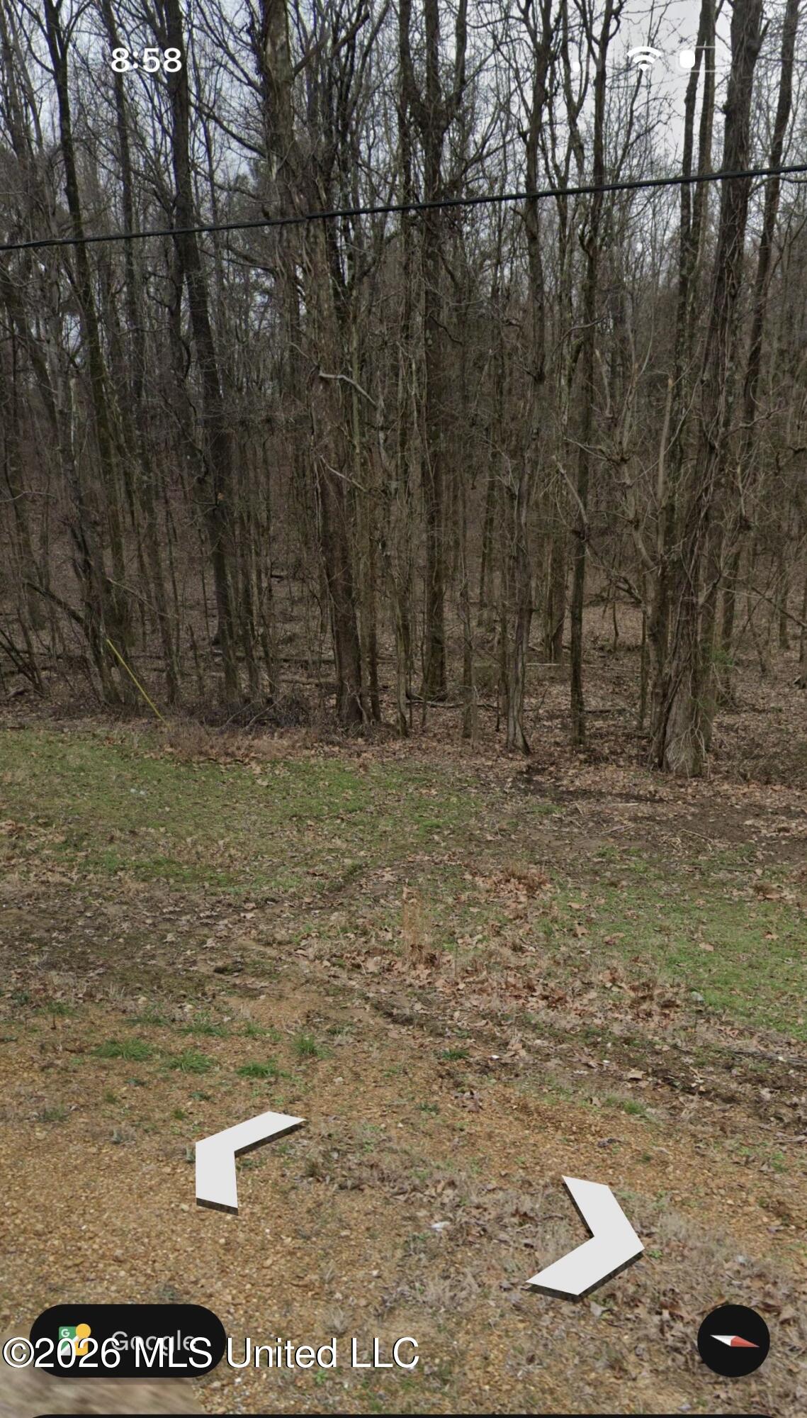 3197 Fogg Road North Lake Cormorant, MS 38641 - Photo 9 of 12 IMG_0851