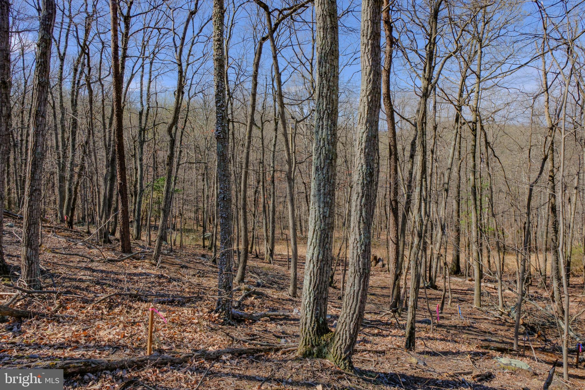 293 Markham Farm Road Front Royal, VA 22630 - Photo 45 of 66 Gallery Image 45