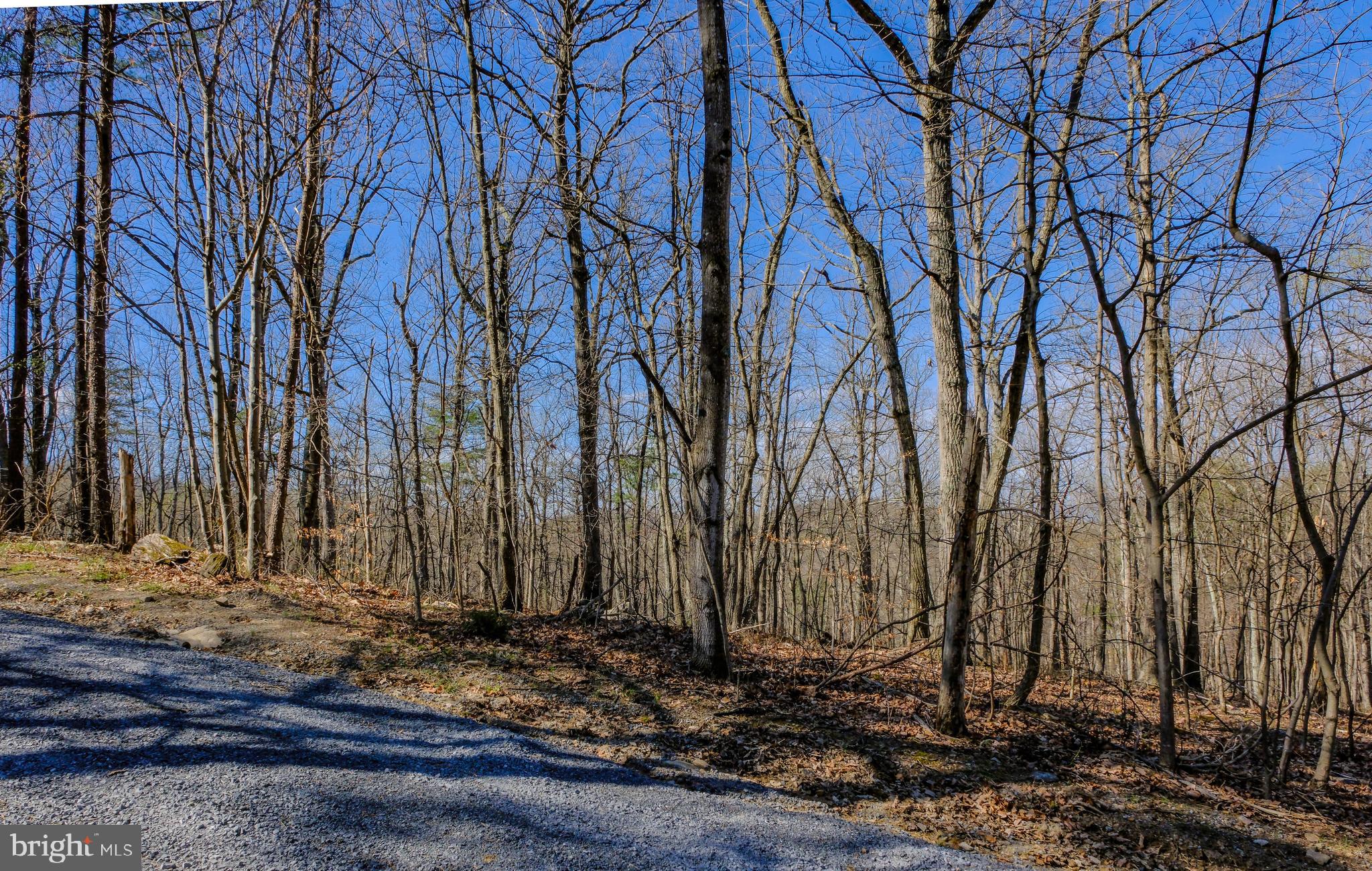 293 Markham Farm Road Front Royal, VA 22630 - Photo 47 of 66 Mostly paved roads to property
