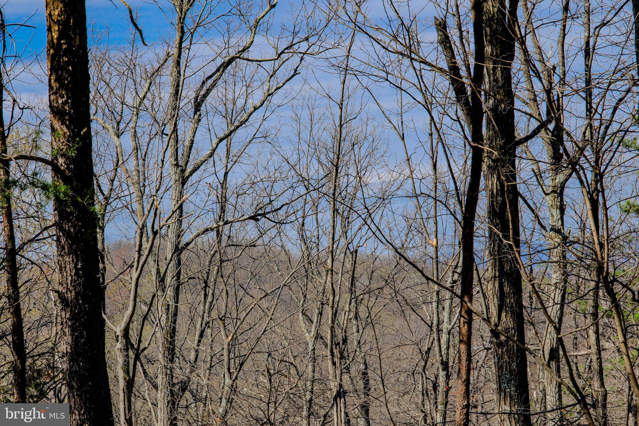 293 Markham Farm Road Front Royal, VA 22630 - Photo 49 of 66 Gallery Image 49