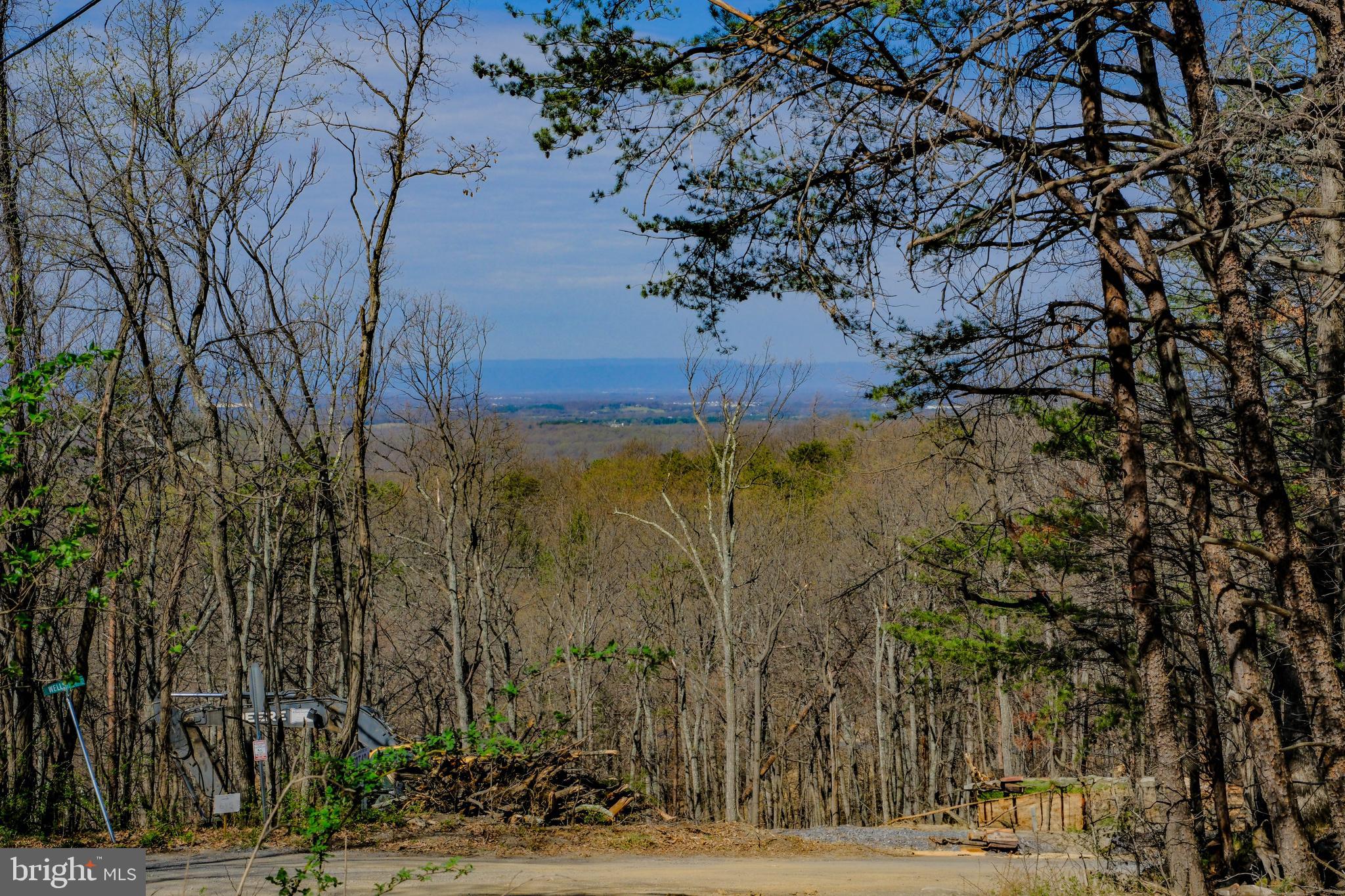 293 Markham Farm Road Front Royal, VA 22630 - Photo 53 of 66 Gallery Image 53