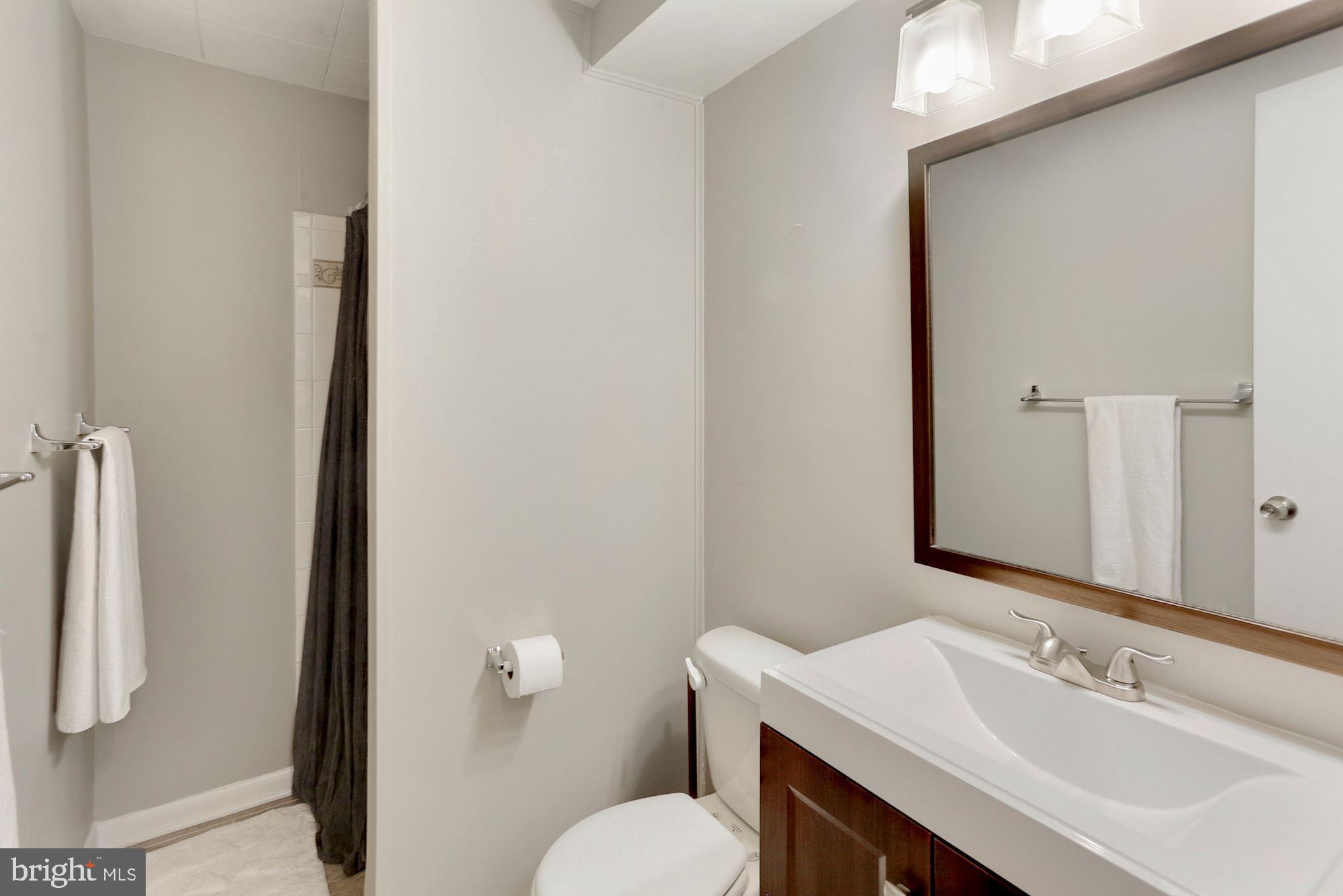 5619 Heming Avenue Springfield, VA 22151 - Photo 25 of 42 Lower Level Bath