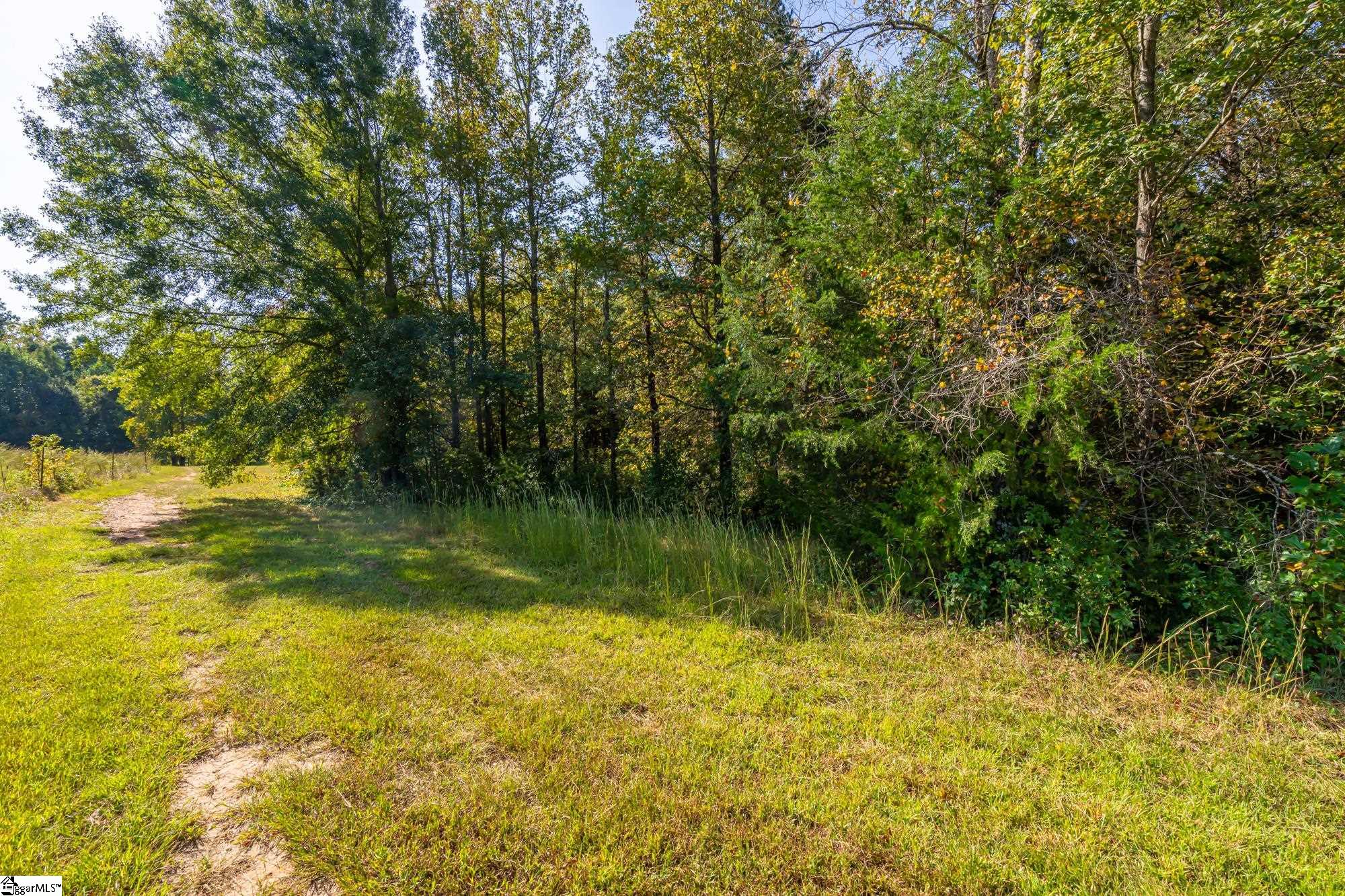 276 Burns Road Greer, SC 29651 - Photo 13 of 22