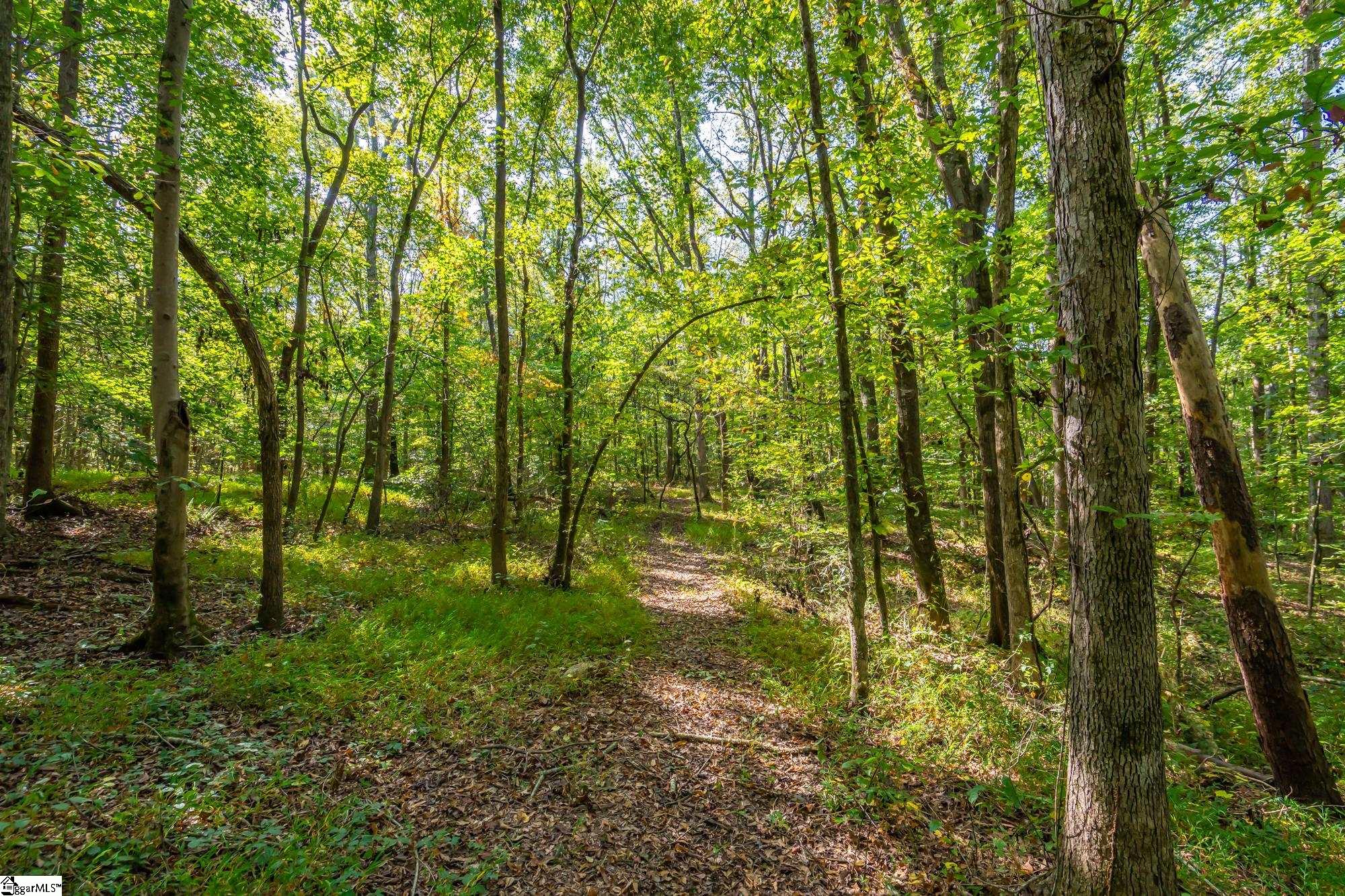 276 Burns Road Greer, SC 29651 - Photo 17 of 22