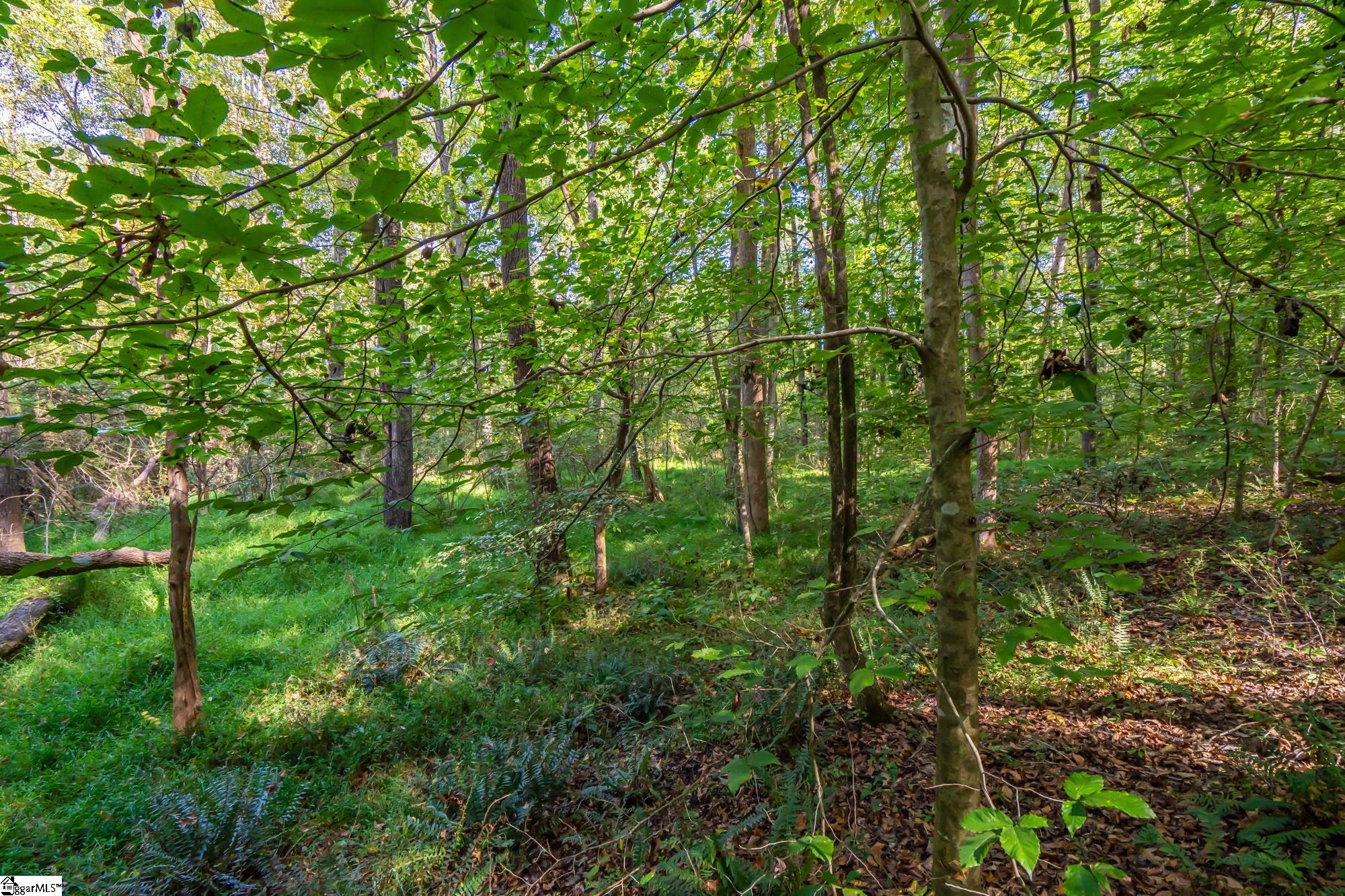 276 Burns Road Greer, SC 29651 - Photo 18 of 22