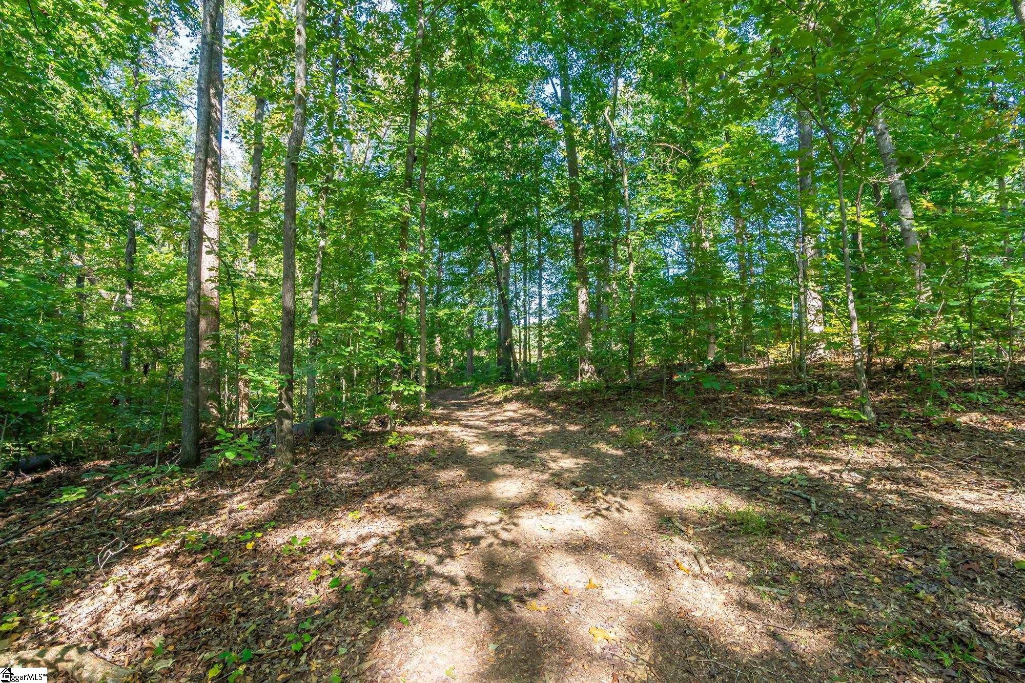 276 Burns Road Greer, SC 29651 - Photo 19 of 22